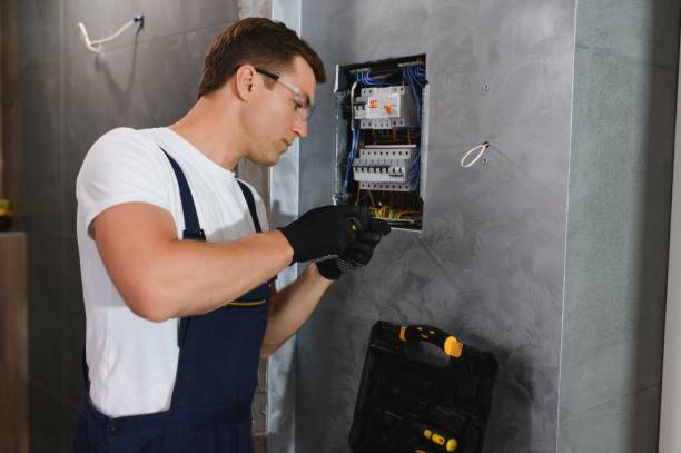 Best Ceiling Fan Installation Electrician  in Dillon, MT